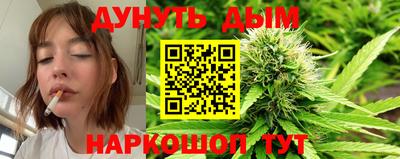 гидра Будённовск