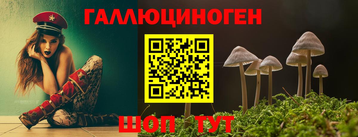 Галлюциногенные грибы GOLDEN TEACHER  Галлюциногенные грибы MAGIC MUSHROOMS  Сатка  Вход с VPN 